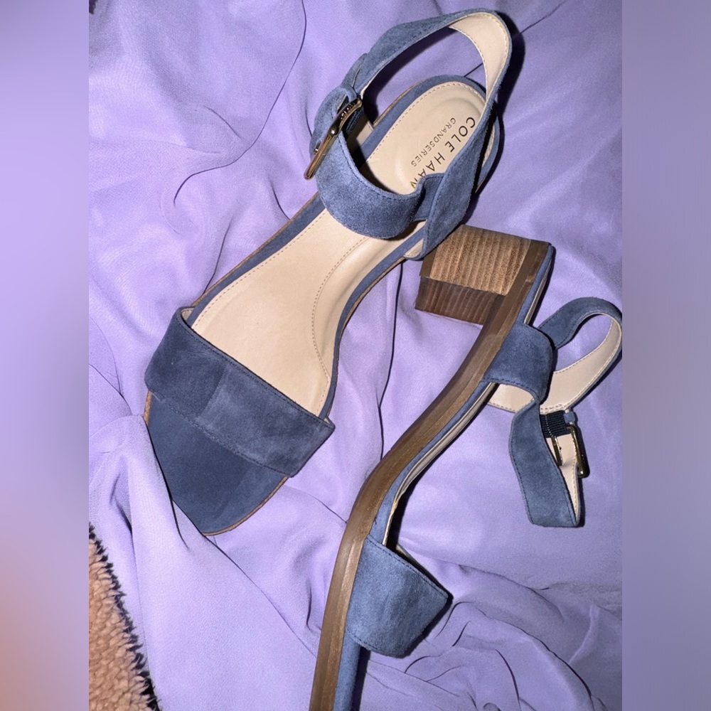 Cole Haan Cute Powder Blue Chunky Heel